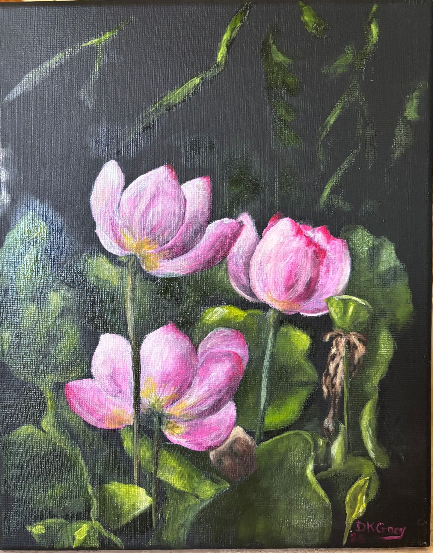 Water Lillies