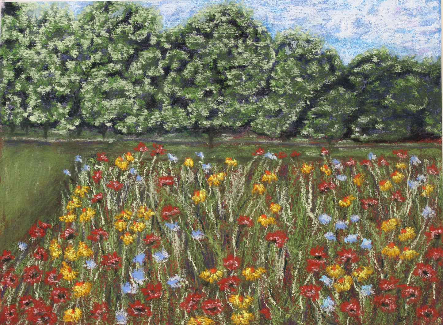 Flower Meadow