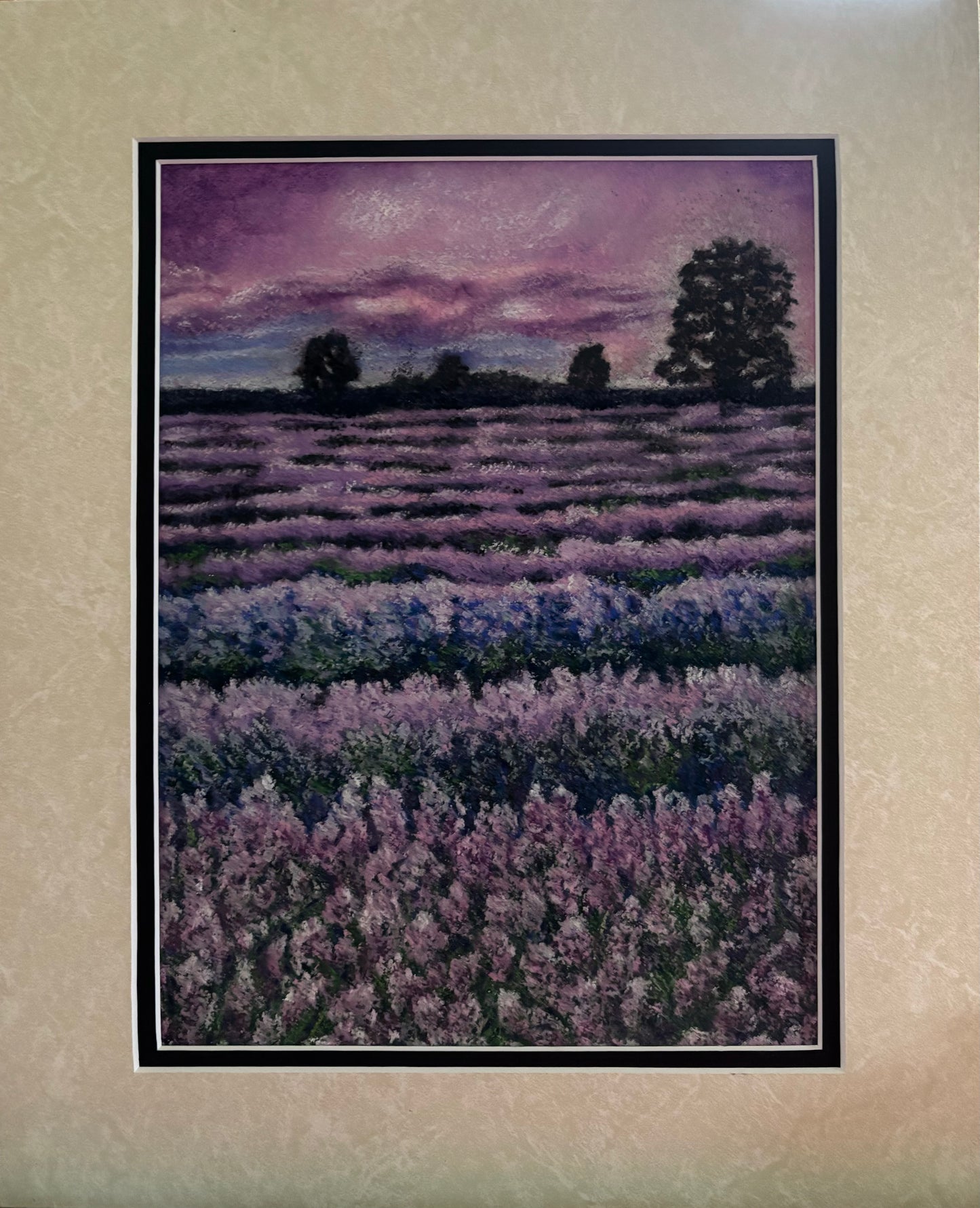 Lavender Field