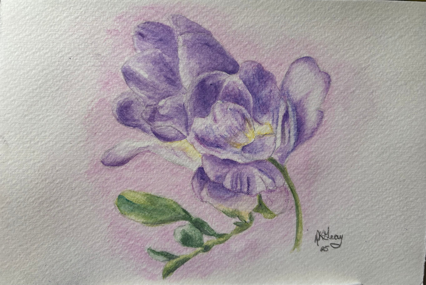 Purple Flower