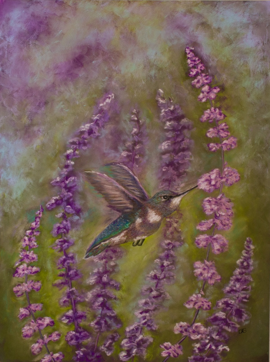 Hummingbird and Lavender