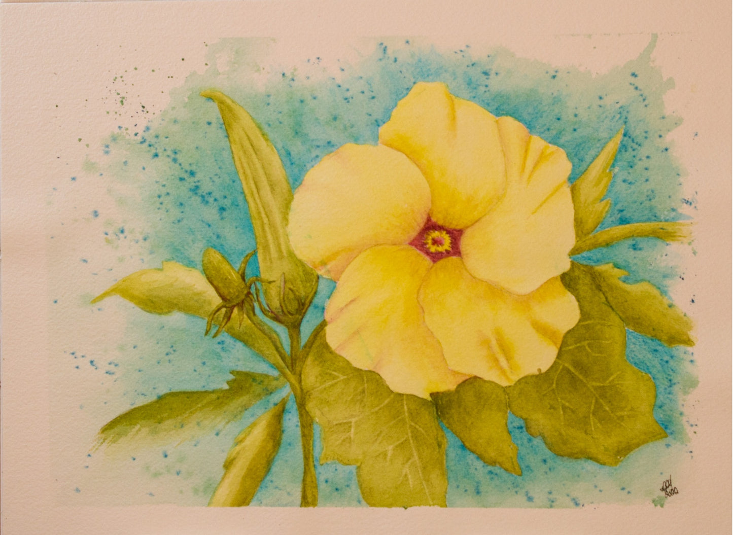 Okra Blossom