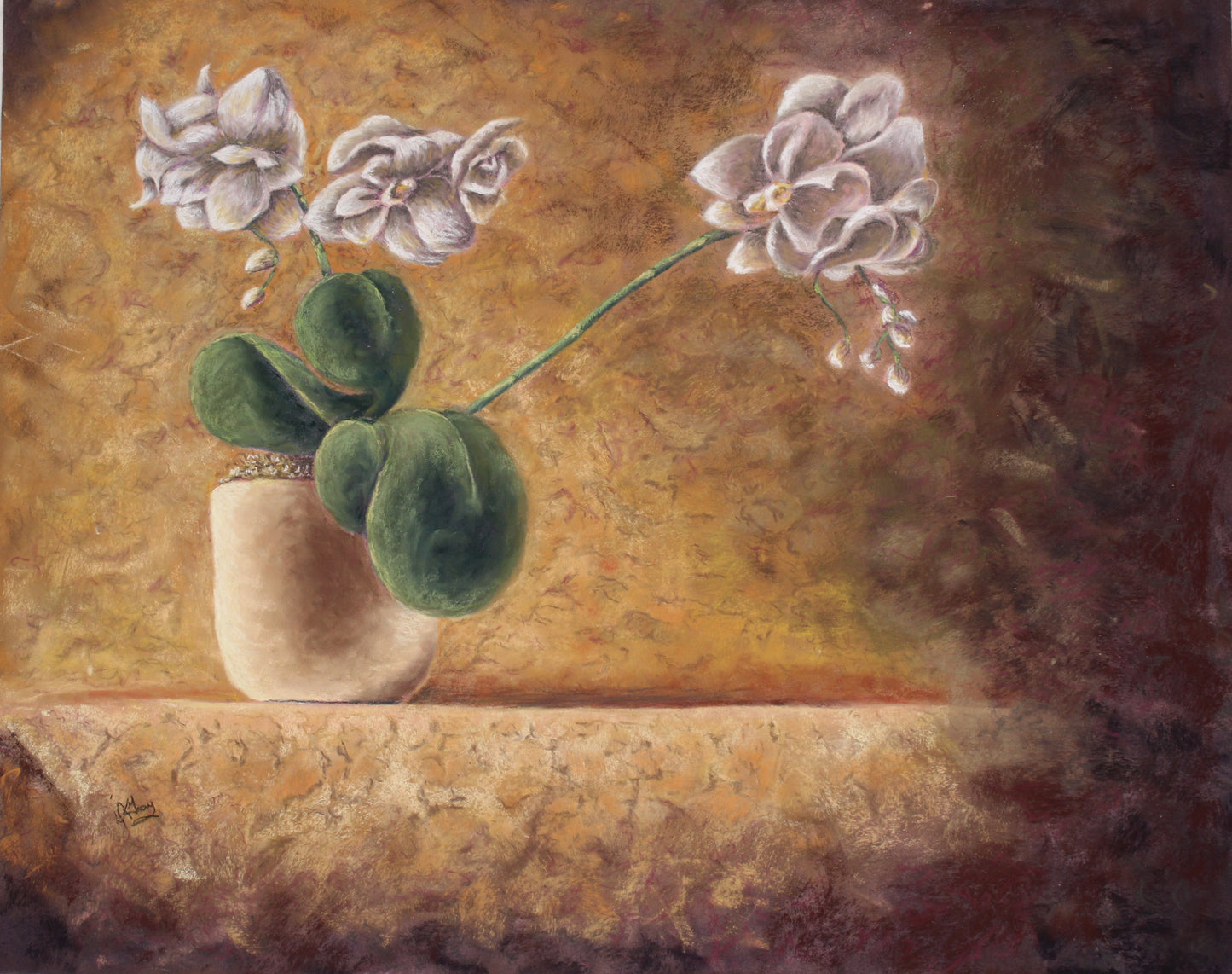 Orchid