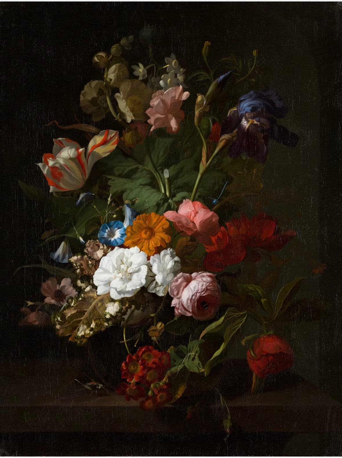 Dark Bouquet