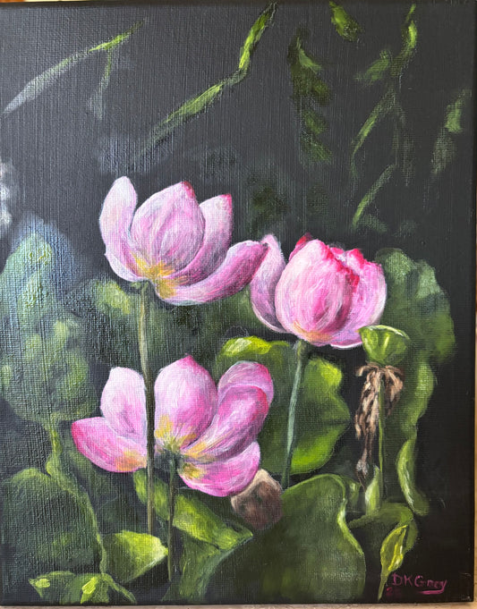 Water Lillies