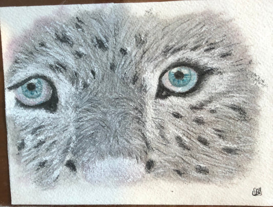 Cat Eyes