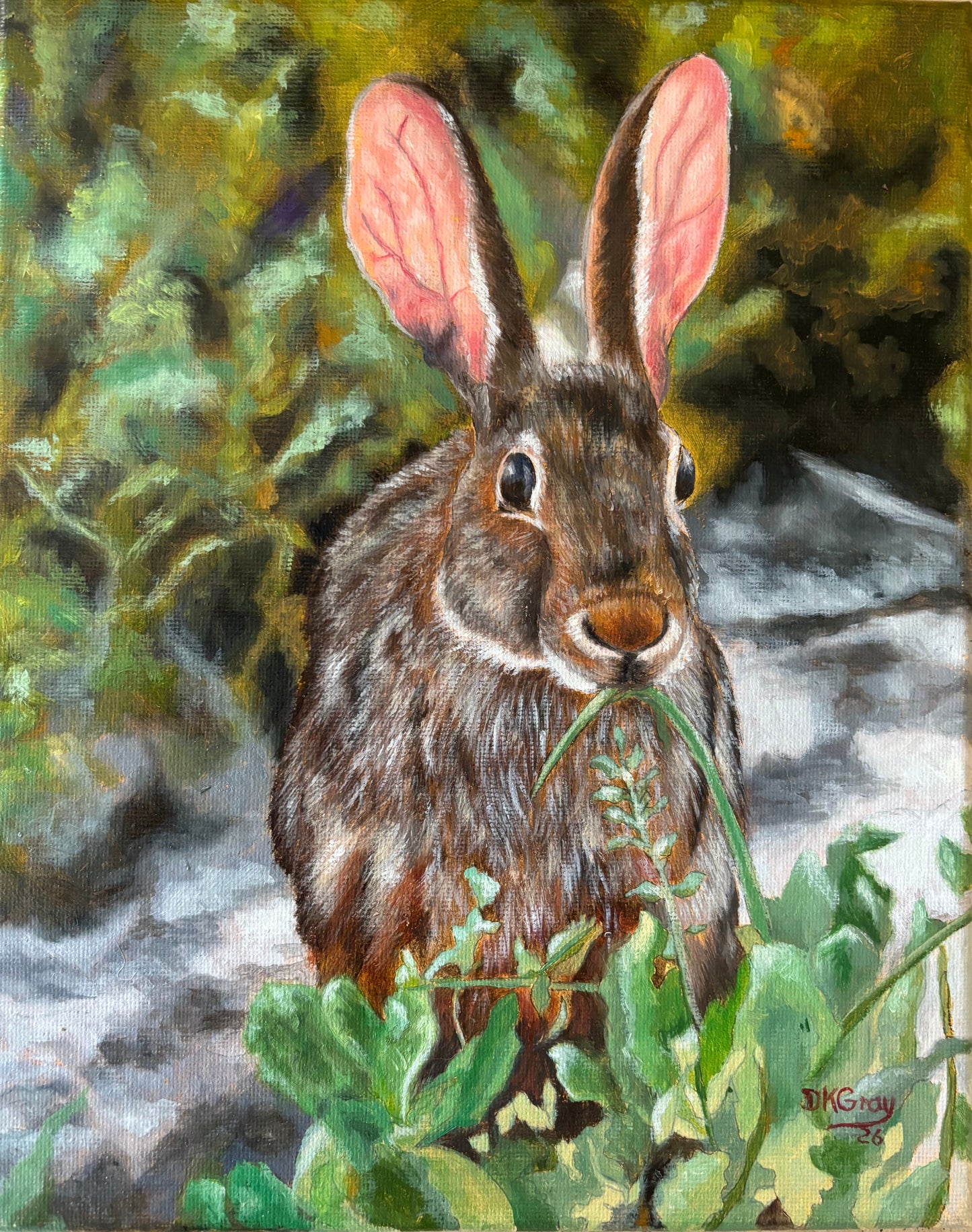 Yard Rabbit