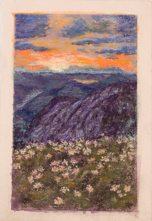 Field of Lavender