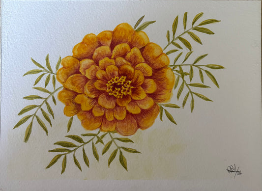 Marigold