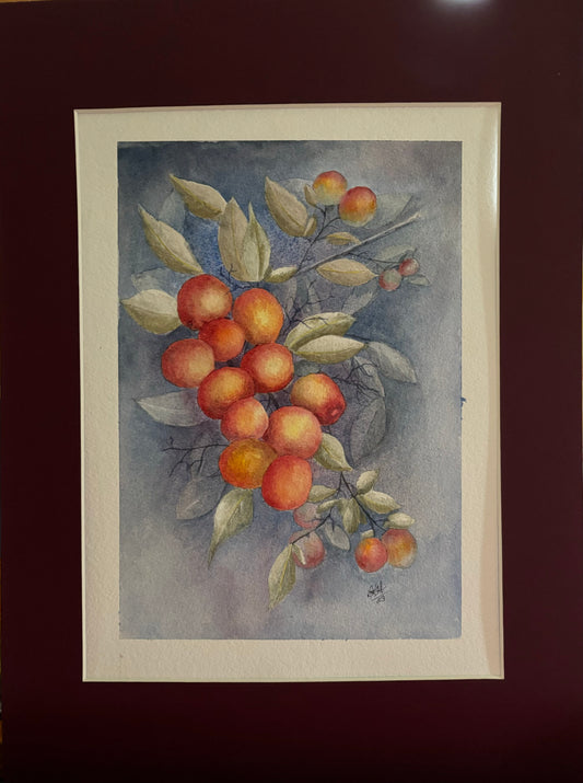 Golden Berries
