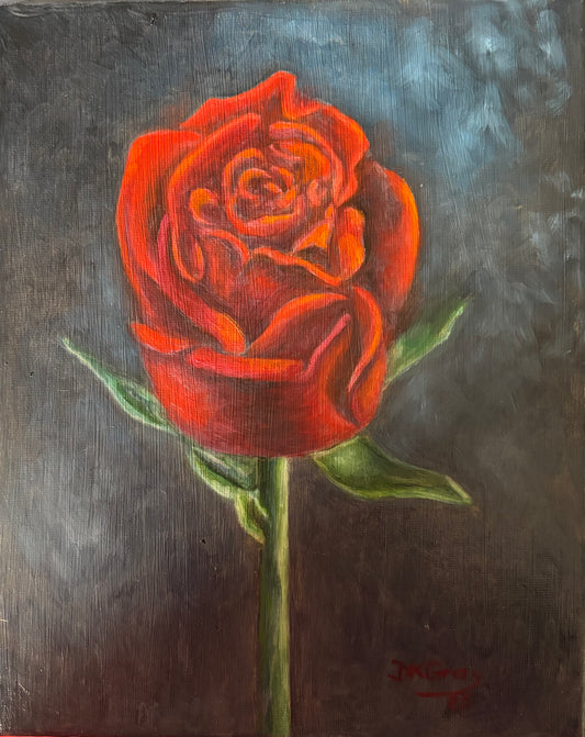 Mr. Lincoln Rose