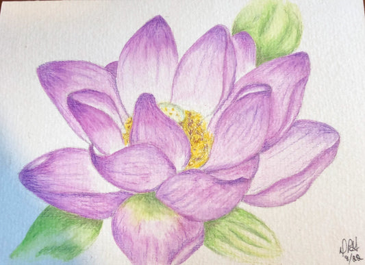 Lotus