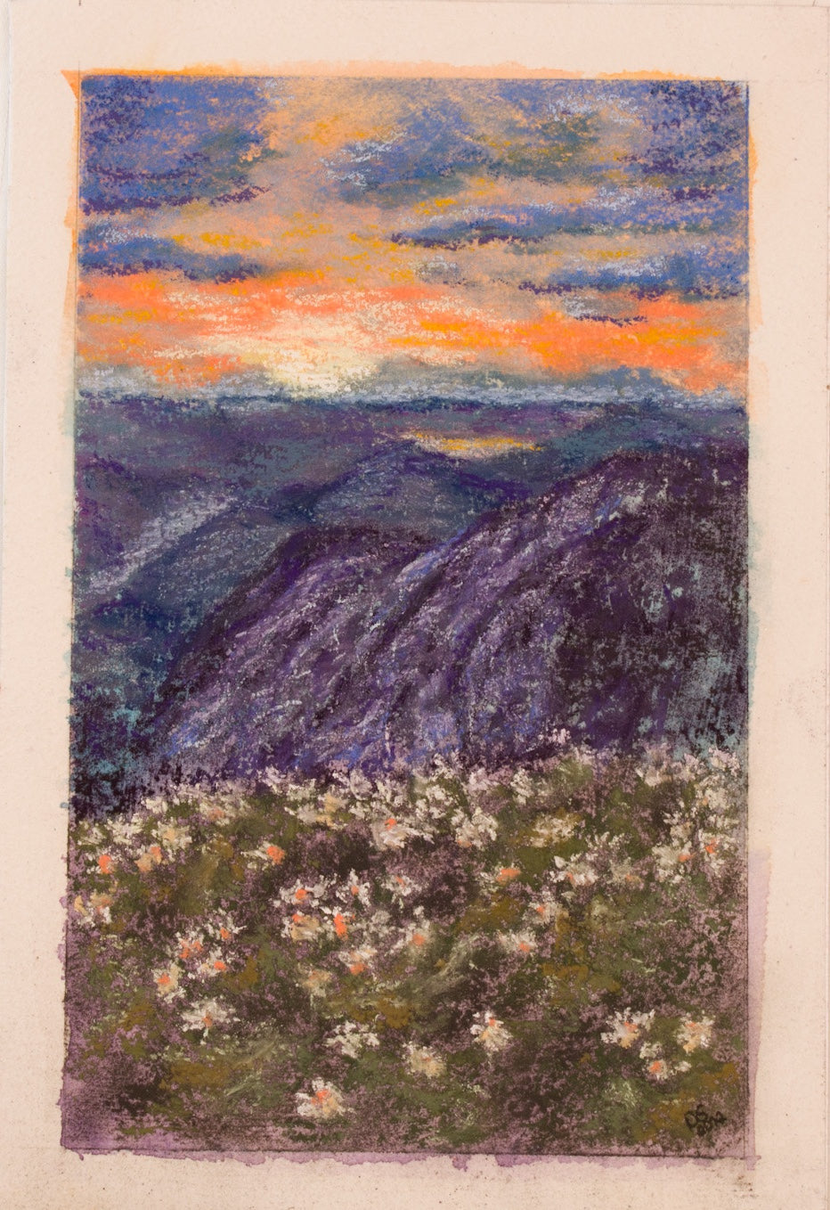 Mountain Meadow
