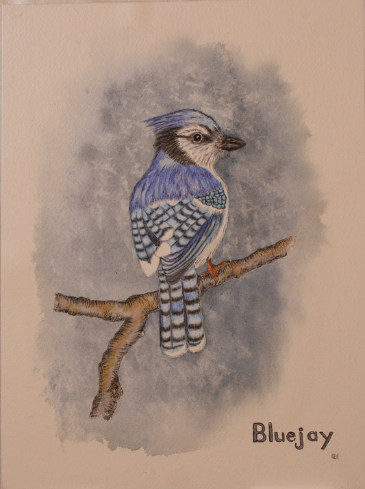 Blue jay