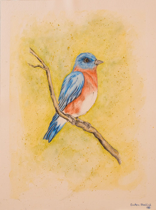 Bluebird